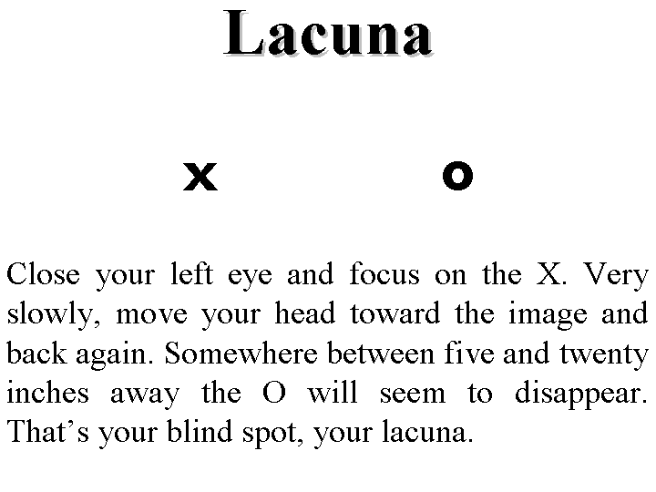 [Image: lacuna-illusion.gif]