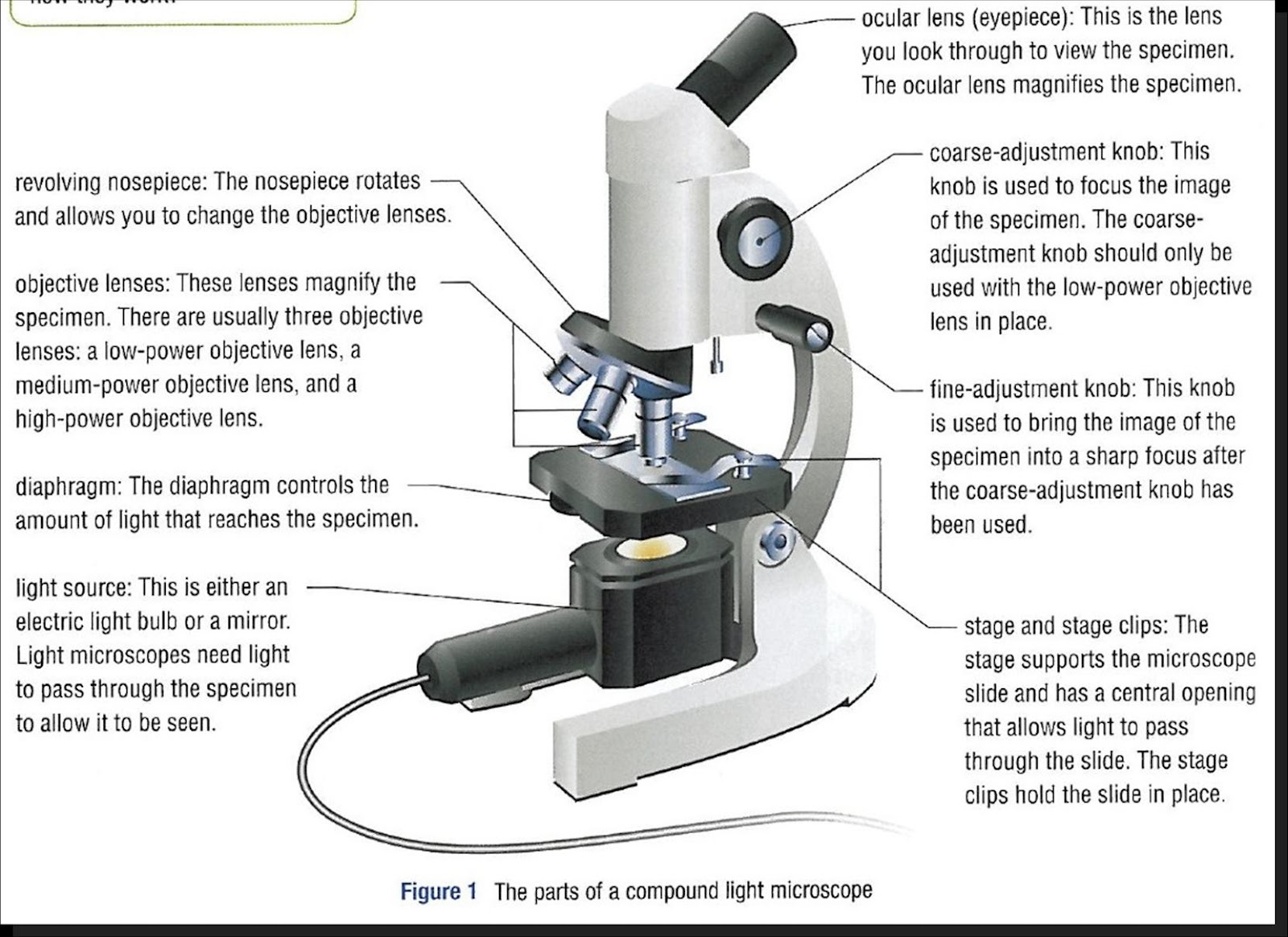 A Compound Light Microscope Consists Of How Many Lenses