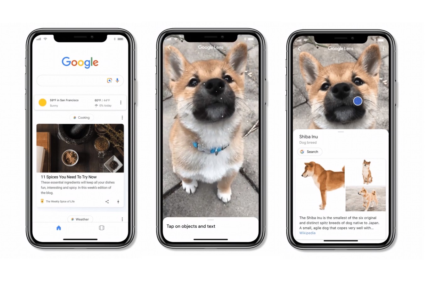 Google Lens Launched in iOS App / Digital Information World