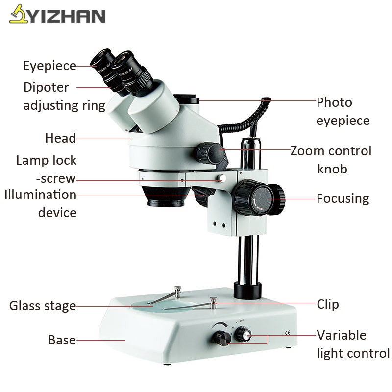 Microscope 3 Objective Lenses Micropedia