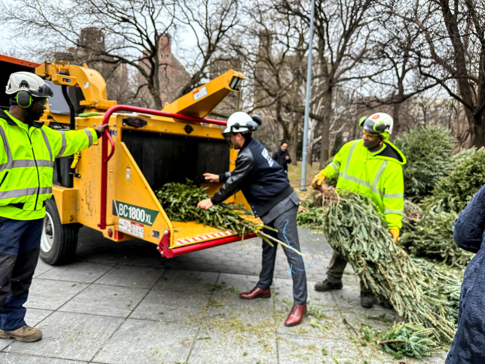 Mulchfest 2023 — a time to repurpose our holiday trees 4