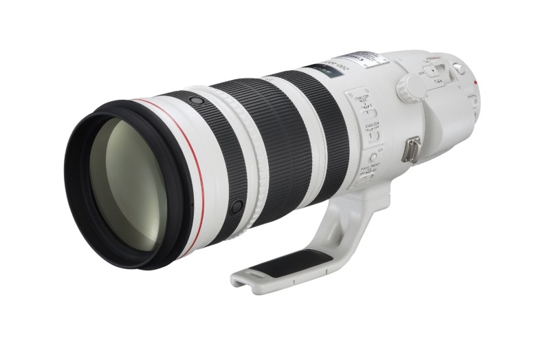 8 Best DSLR Camera Lenses for Wildlife Photography