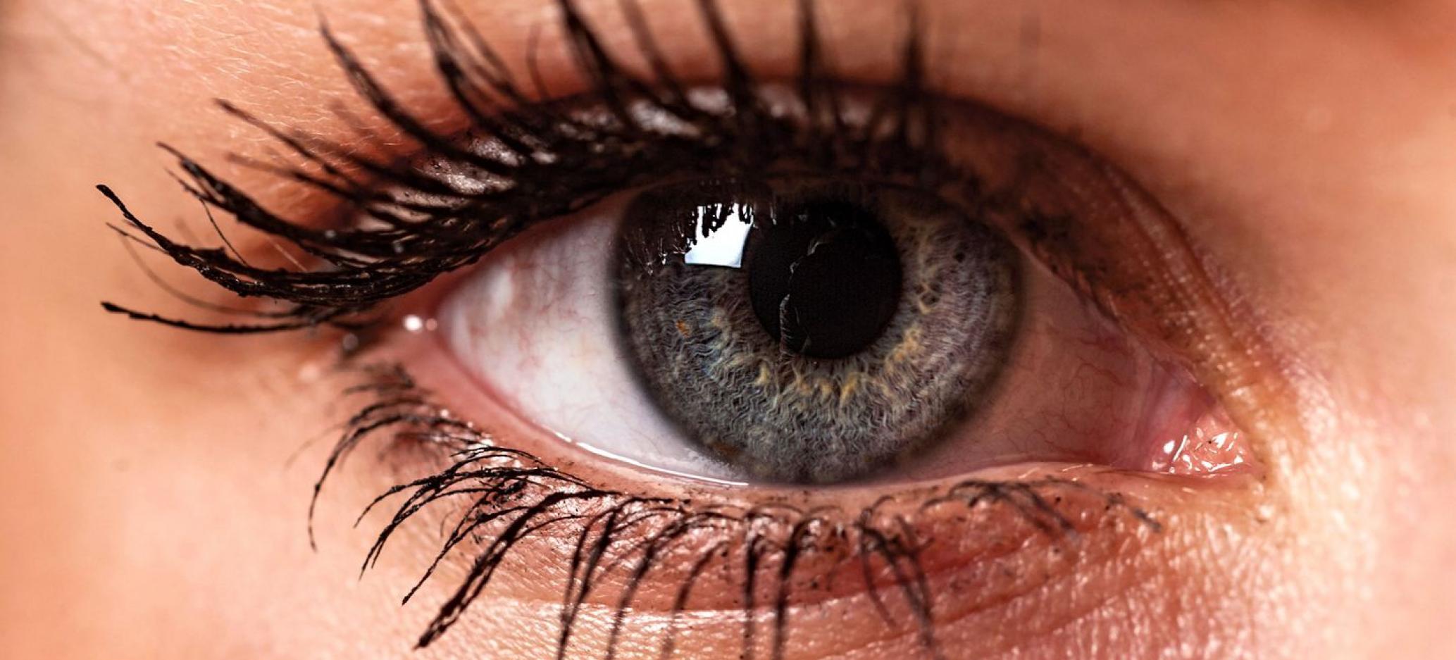 Google’s New AI Algorithm Searches Human Eyes for Signs of
