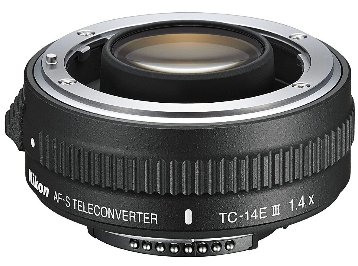 Whats the Best Lens for Wildlife Photography? Nature TTL
