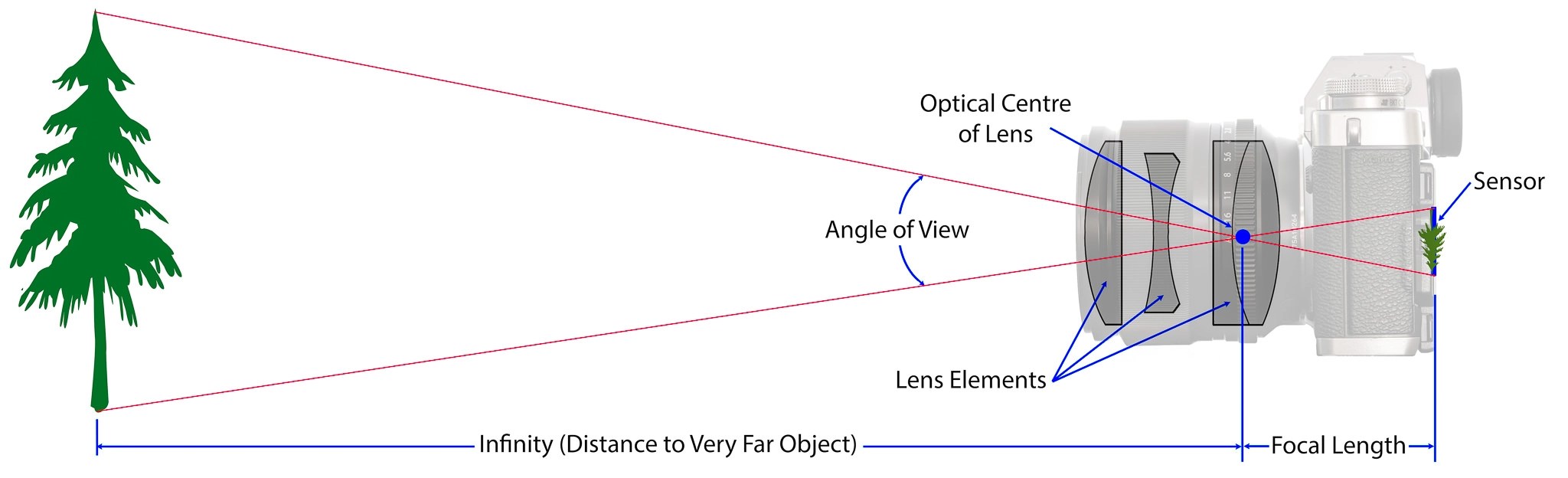 What Is Focal Length in Photography?