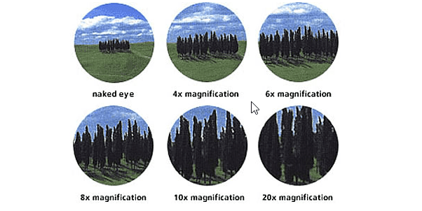 10 Best Scope for 308 Long Range Ultimate Guide In 2021