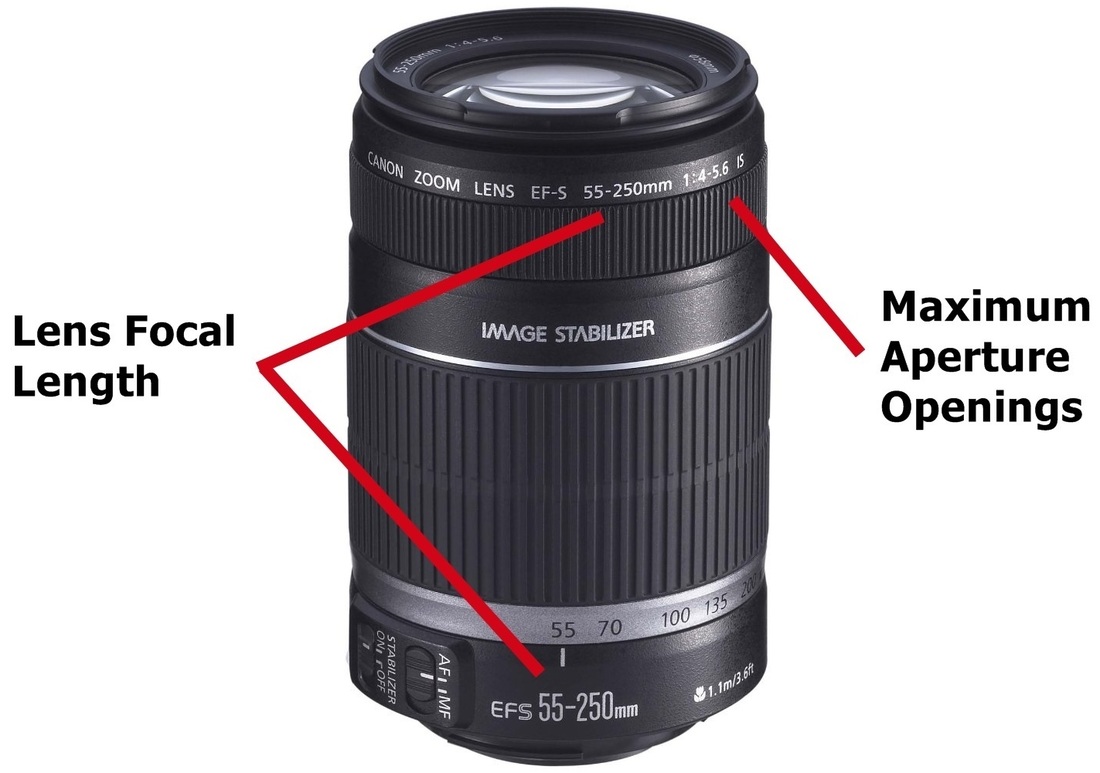 The Camera LensTypes of Camera Lenses and Focal Lengths