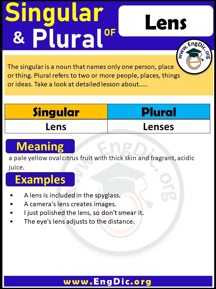 plural form of Lens Archives EngDic