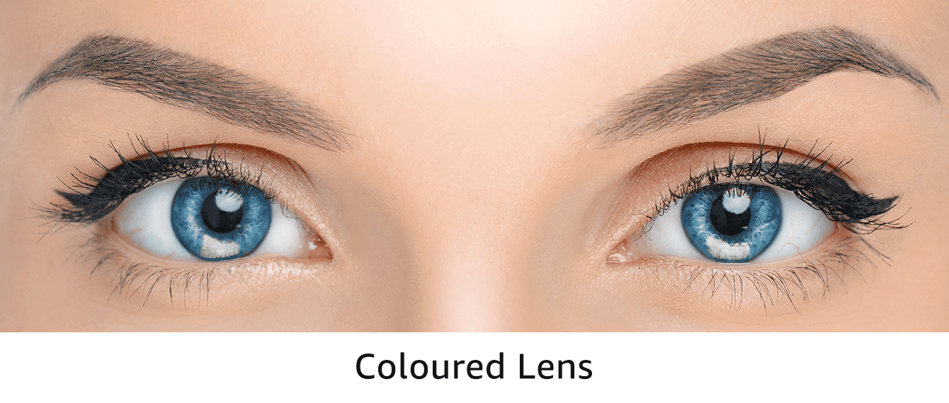 Contact Lenses Buy Contact Lenses Online at Best Prices
