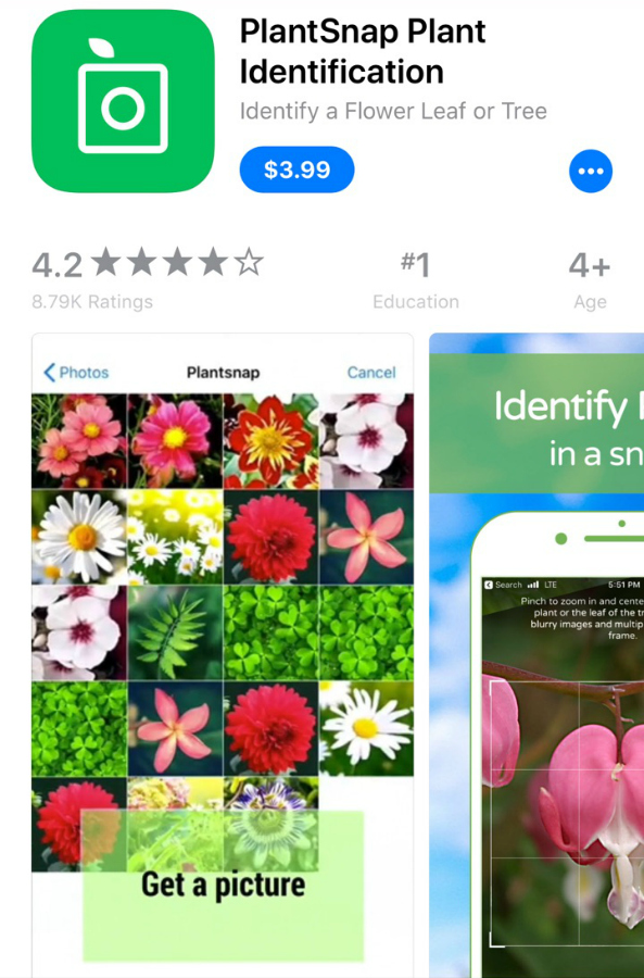 4 Best Apps to Help Identify Plants and Trees