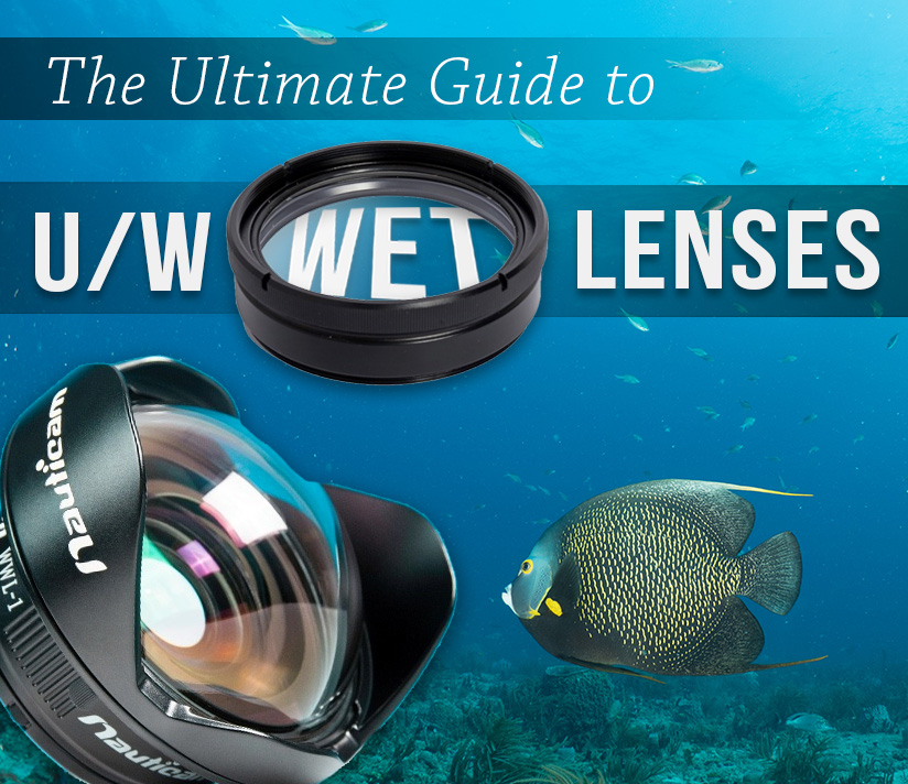 The Ultimate Guide To Underwater Wet Lenses Mozaik UW