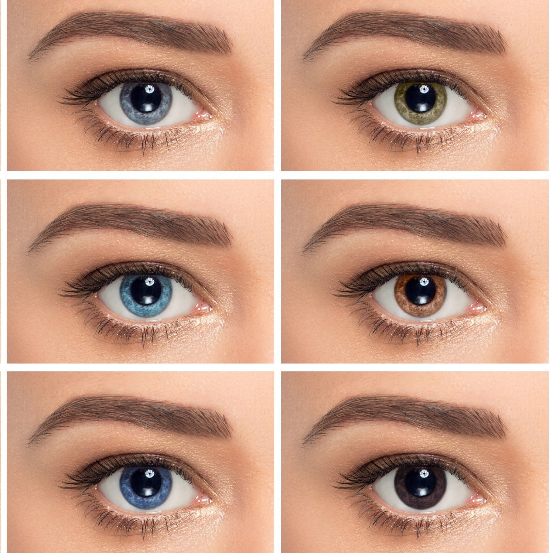 Coloured contact lenses are designed to correct your