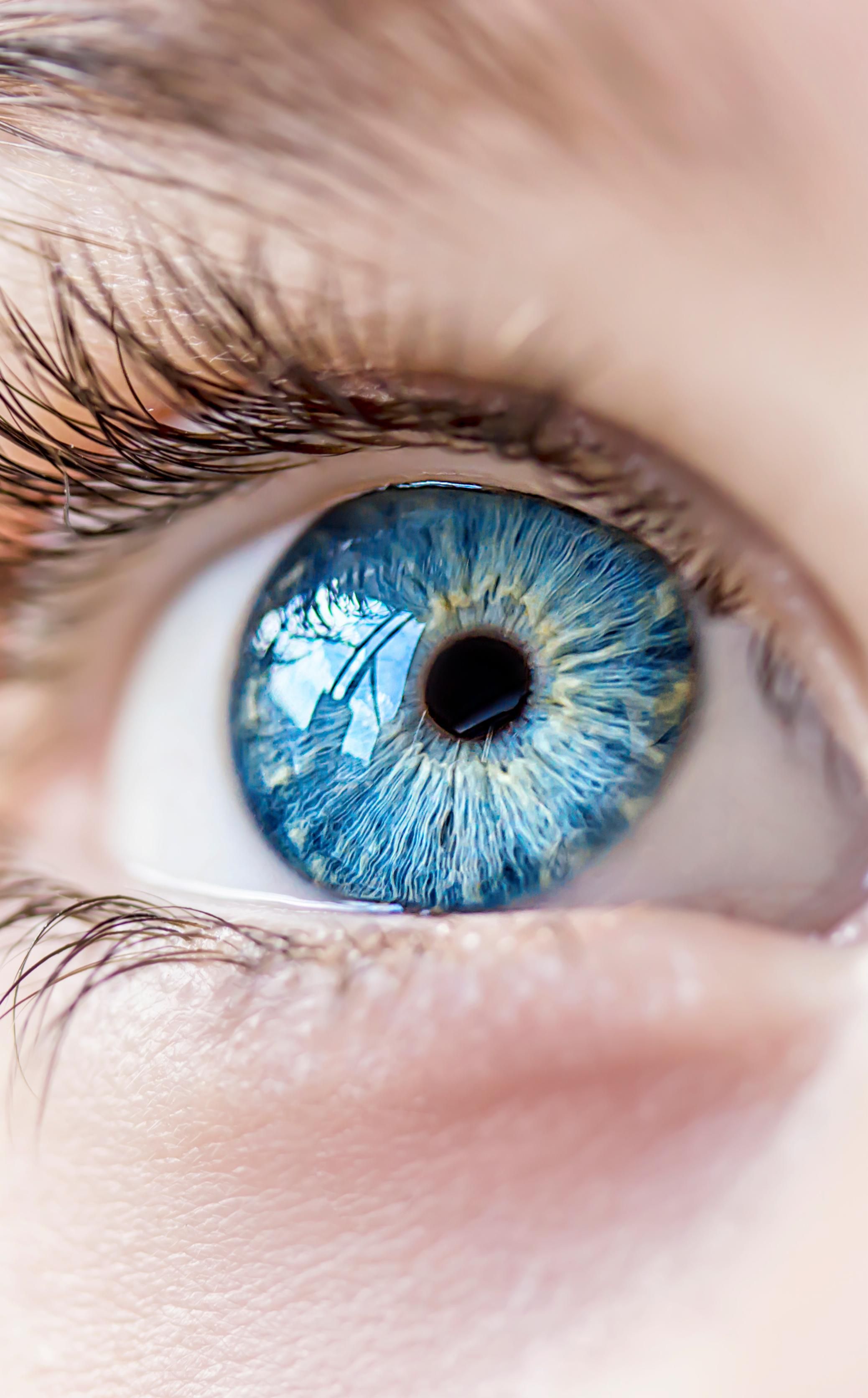 Stunning Blue Eyes Contact Lenses UK Buy Online
