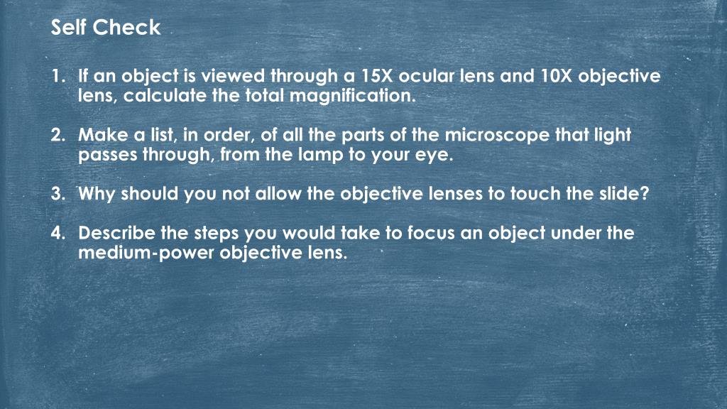 PPT Learning About The Microscope PowerPoint