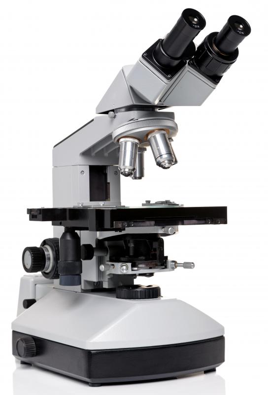 A Compound Light Microscope Is Used To View Micropedia