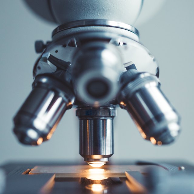 How Many Lenses Are in a Compound Microscope? Sciencing