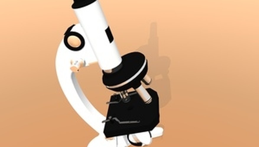 How Many Lenses Are in a Compound Microscope? Sciencing