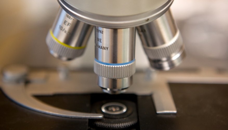 What Kind of Lens Is Used for a Microscope? Sciencing