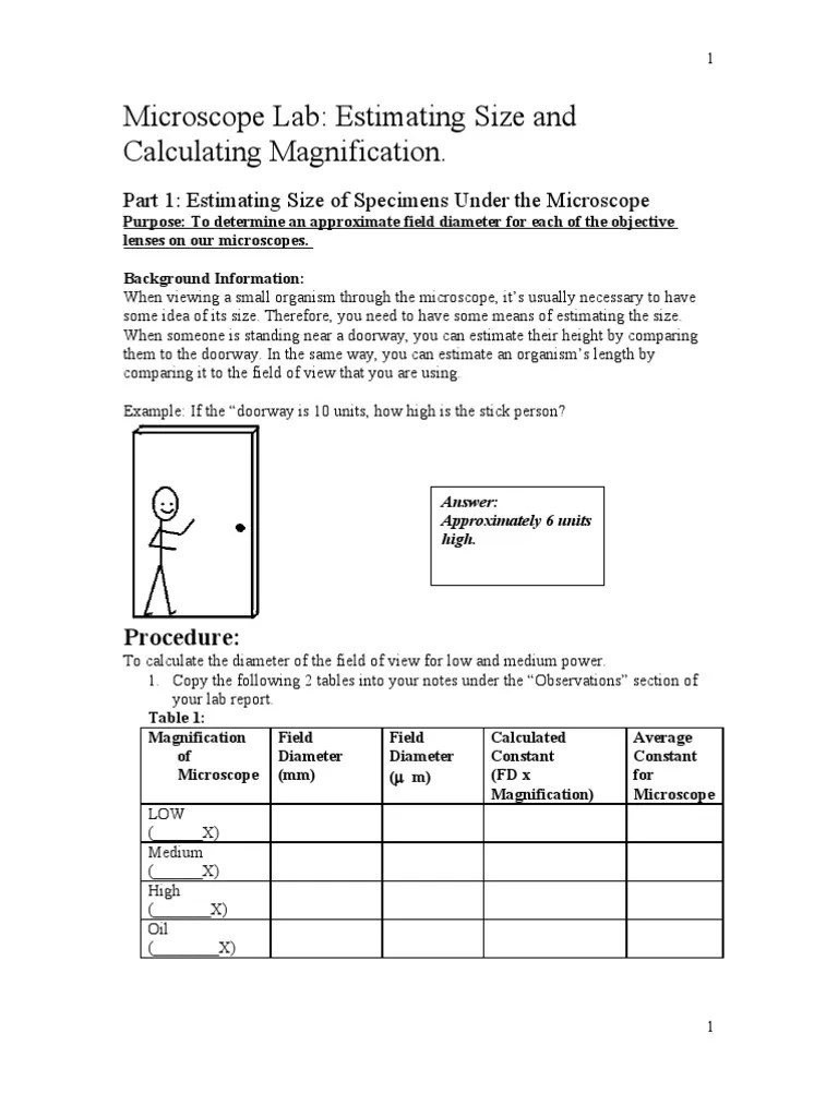 Microscope Lab Estimating Field Diameter PDF Lens