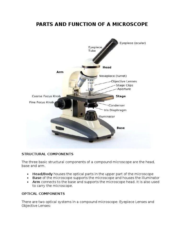 Microscopes Parts and Function