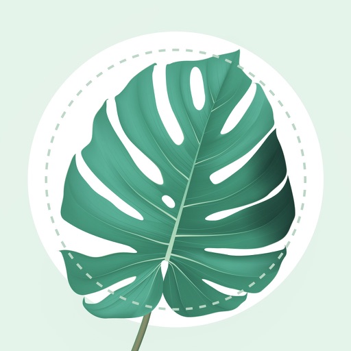 Plant Identification PlantMe by Straiton Limited