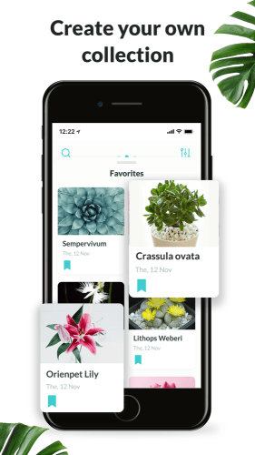 Plantyx Plant Identification App for iPhone Free