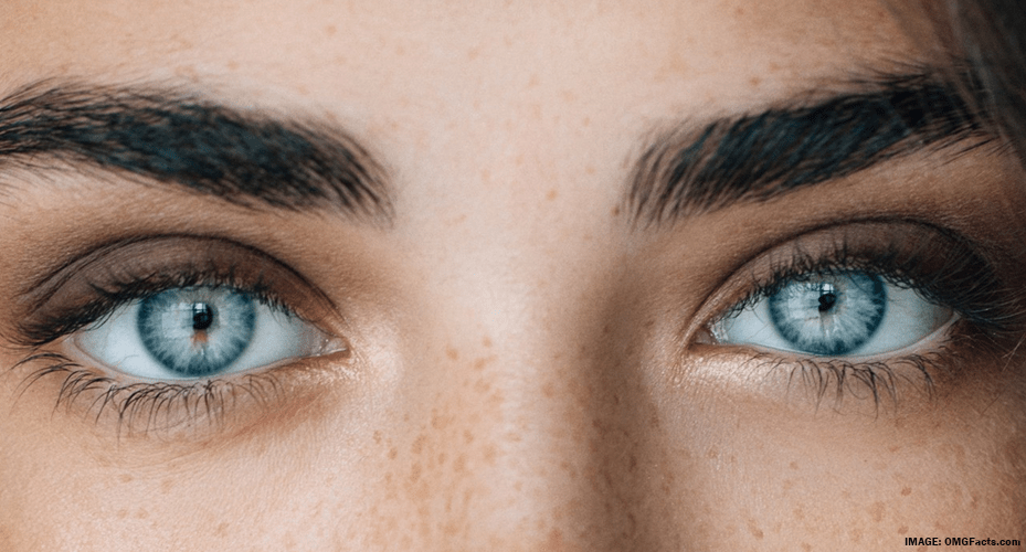 Blog The Best Colored Contact Lenses For Your Eye Color