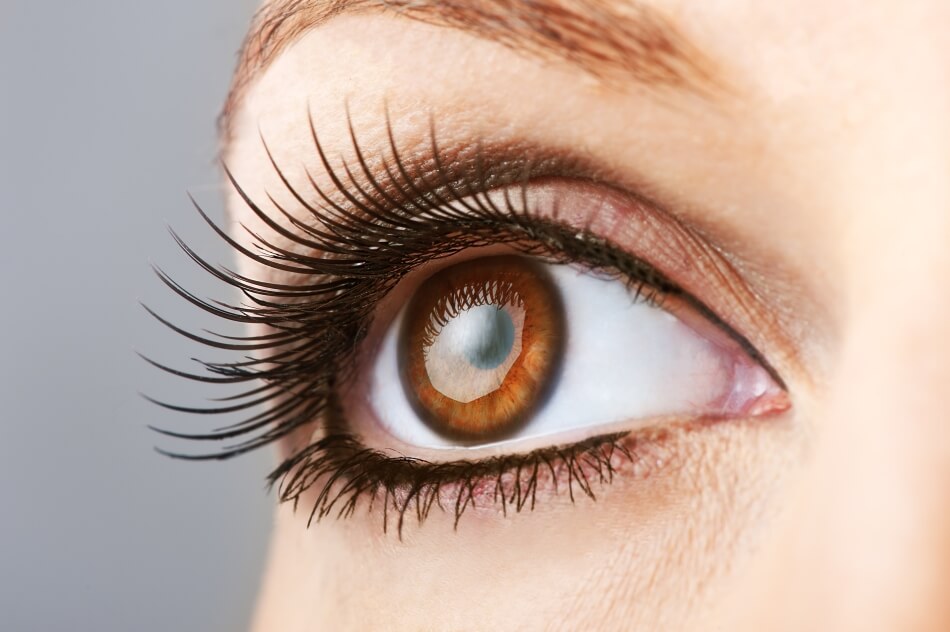 Have You Considered Wearing A Color Contact Lens? Here’s