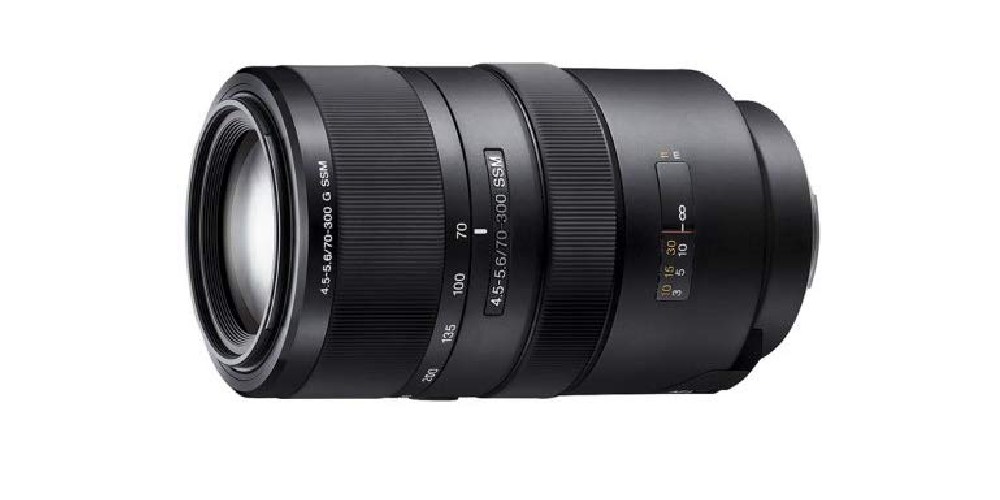 8 Best Budget Lenses For Wildlife Photography
