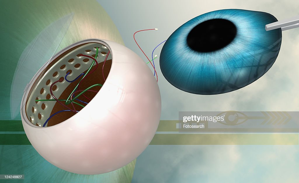 Closeup Of A Human Eye Lens HighRes Vector Graphic