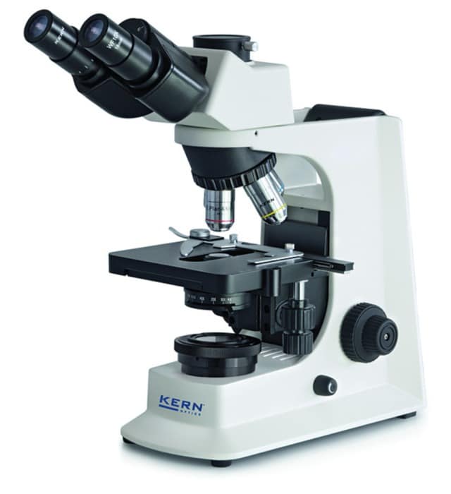 The Different Types of Microscopes A Comprehensive Guide
