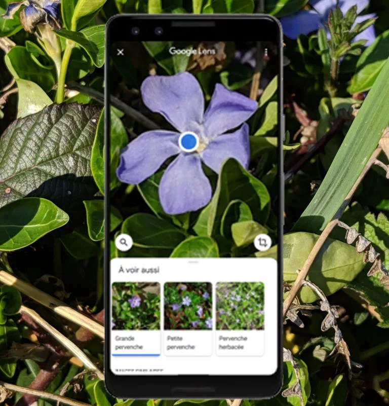 Google Lens. on teste le scanner intelligent Mobile Labs