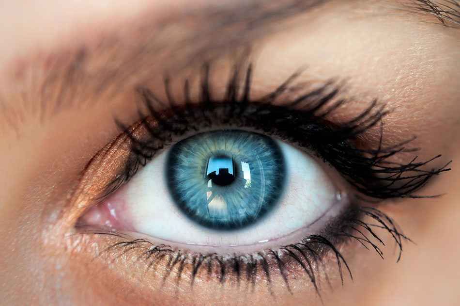 A Quick Guide to Coloured Contact Lenses Perfectlens Canada