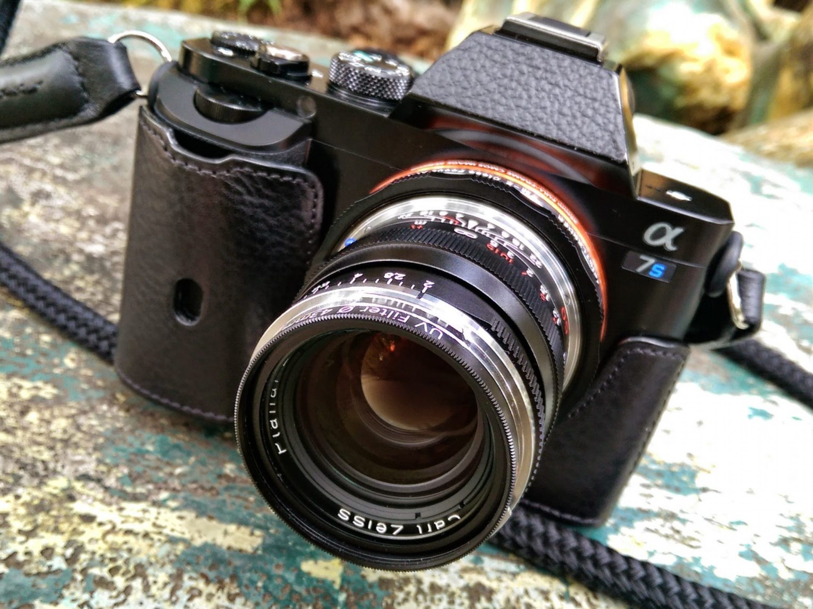 Sony A7s With Zeiss Lens Pictorial Singapore