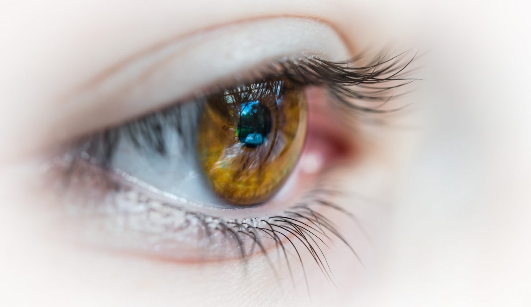 UK contact lens recycling scheme launched Positive News