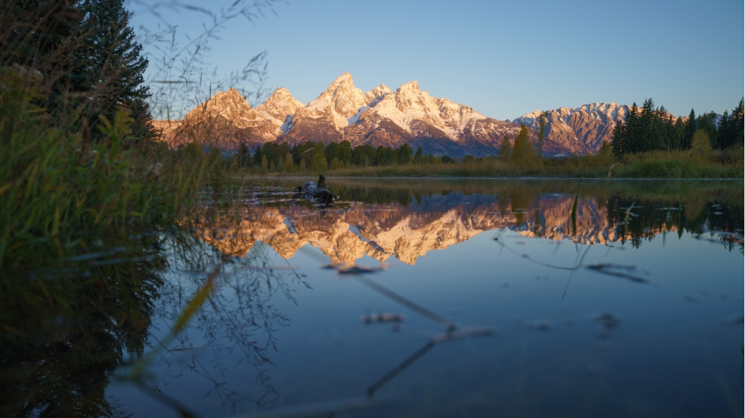 Lens Focal Length Explained. The Physics of Camera Lenses
