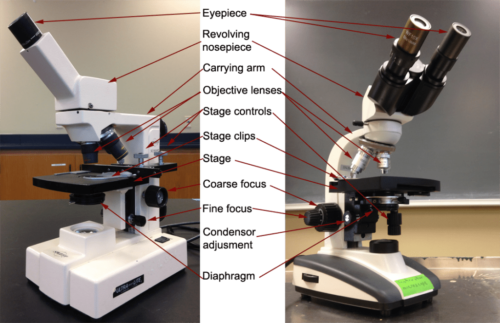 Objective Lens Microscope Names