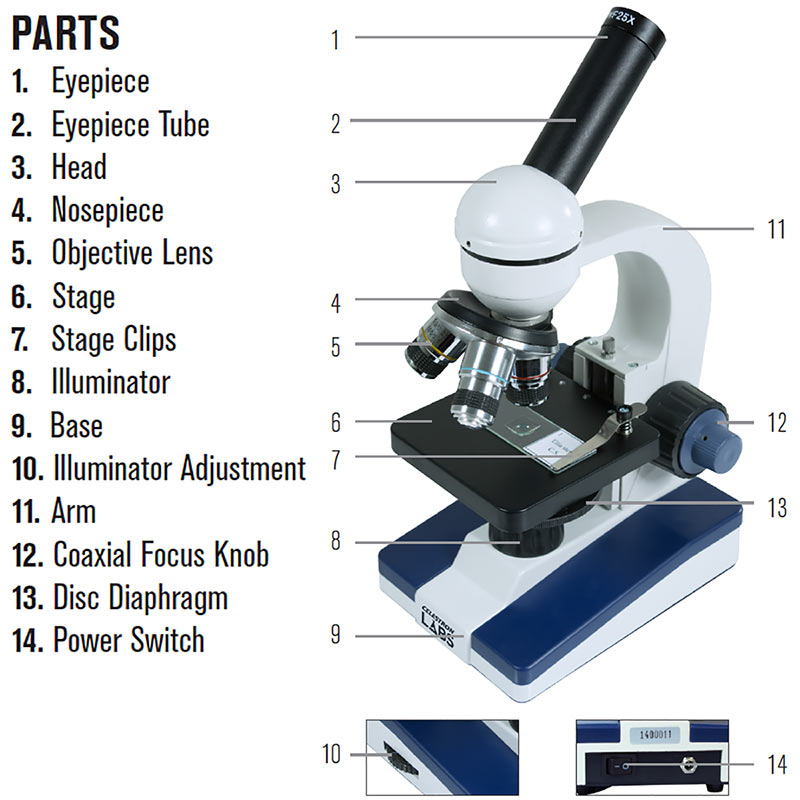 What Are The Different Lenses On A Compound Light Microscope