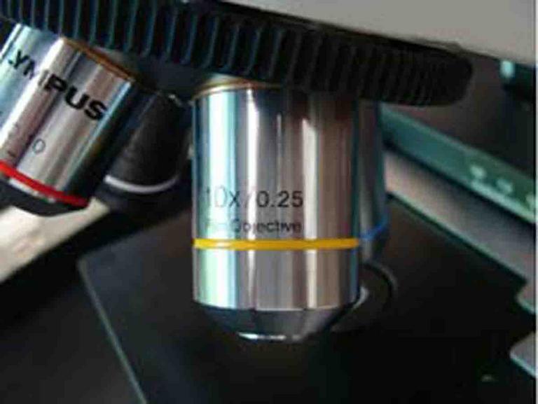 Compound Light Microscope Parts Images Photographs from