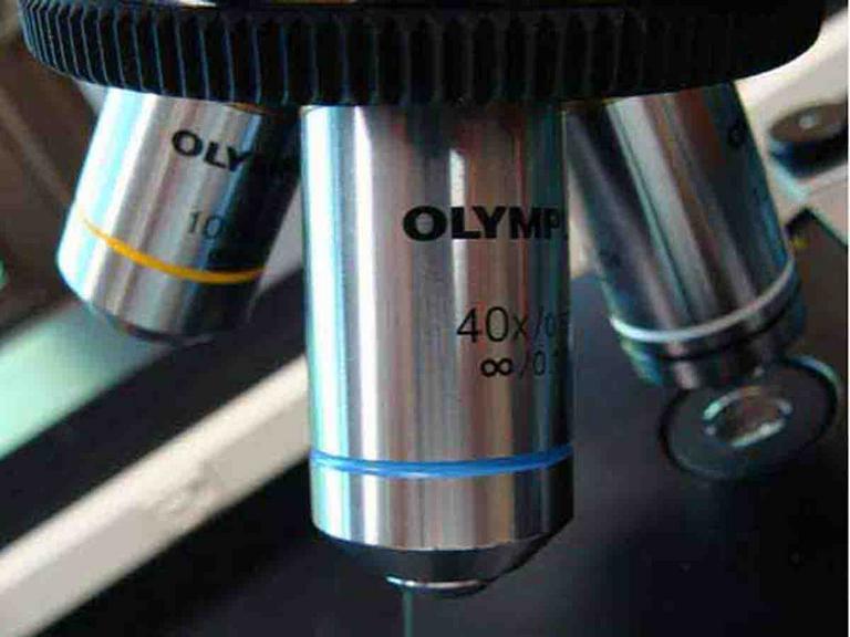 Compound Light Microscope Parts Images Photographs from