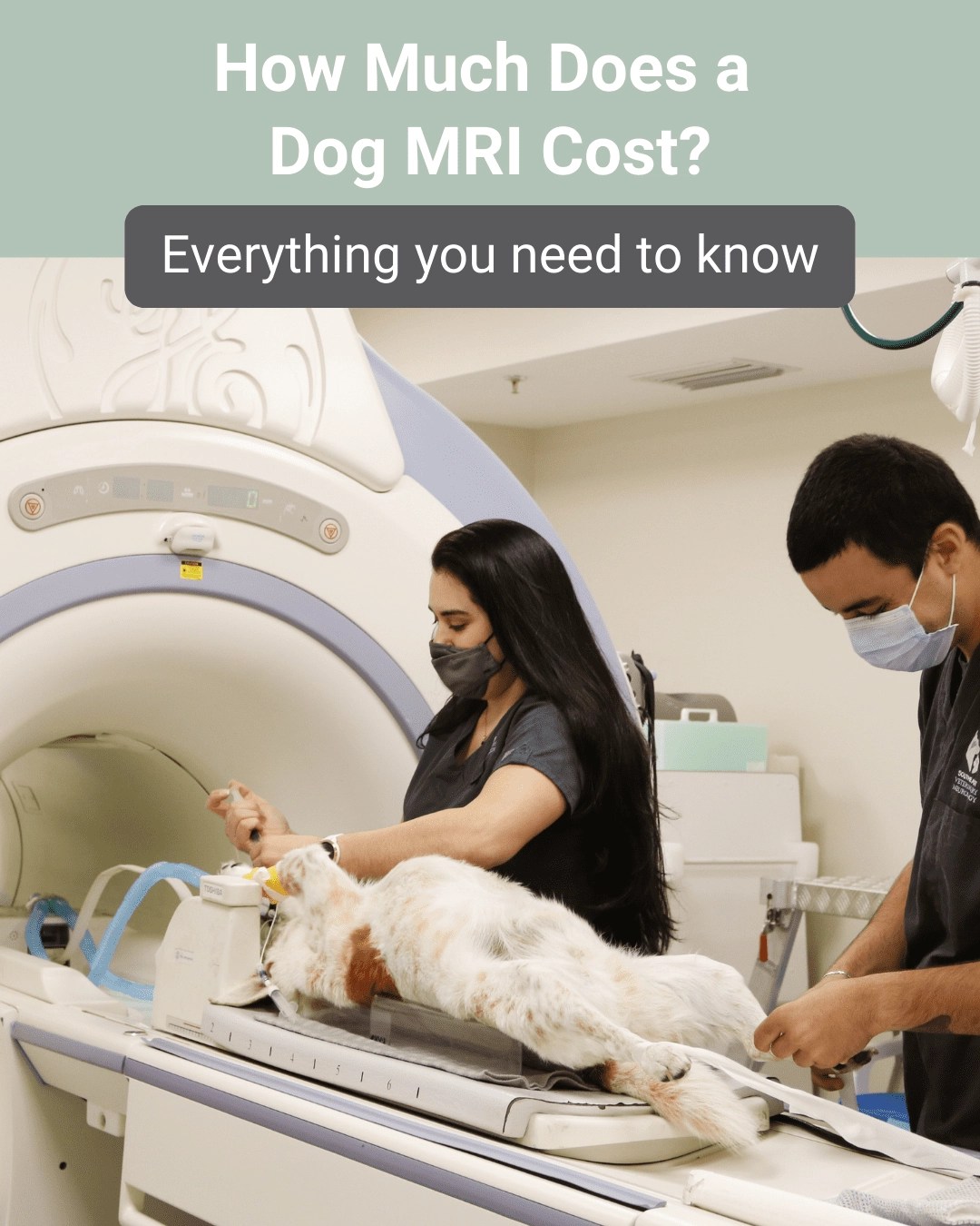 How Much Does A Lumbar Mri Cost Without Insurance